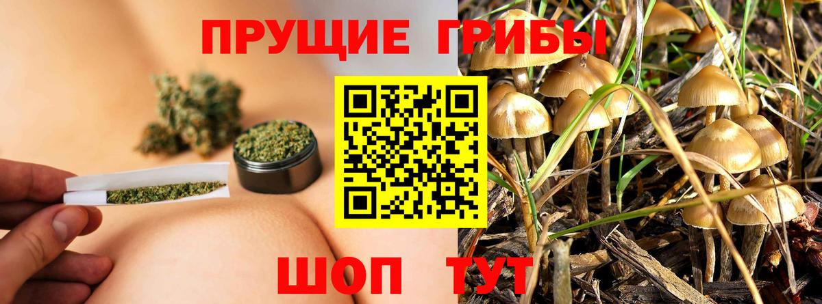 Галлюциногенные грибы прущие грибы Ялта